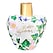 100 ml